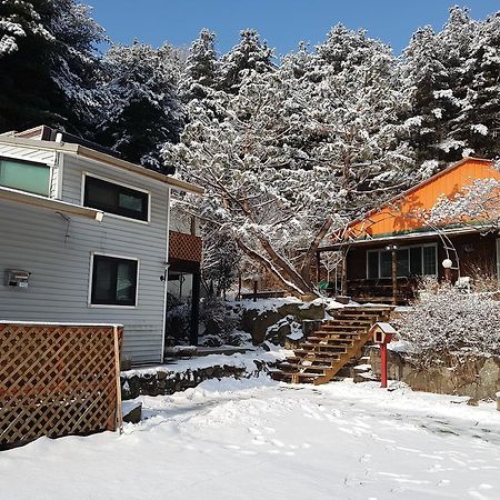 Bluesky Pension Pocheon Esterno foto