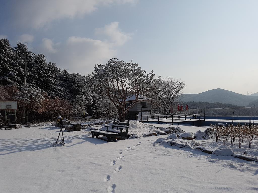 Bluesky Pension Pocheon Esterno foto