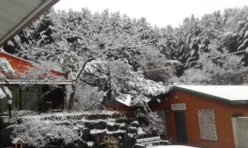 Bluesky Pension Pocheon Esterno foto
