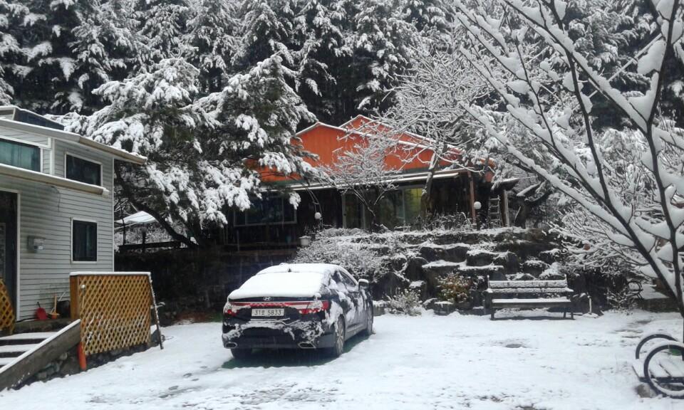 Bluesky Pension Pocheon Esterno foto