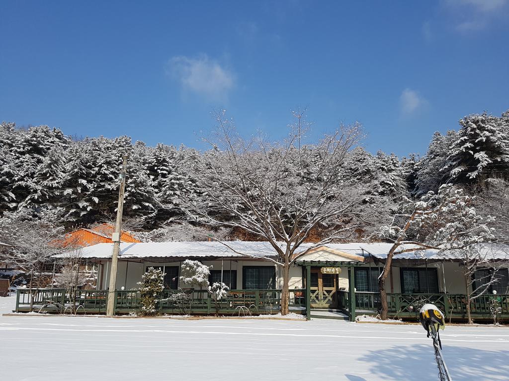 Bluesky Pension Pocheon Esterno foto